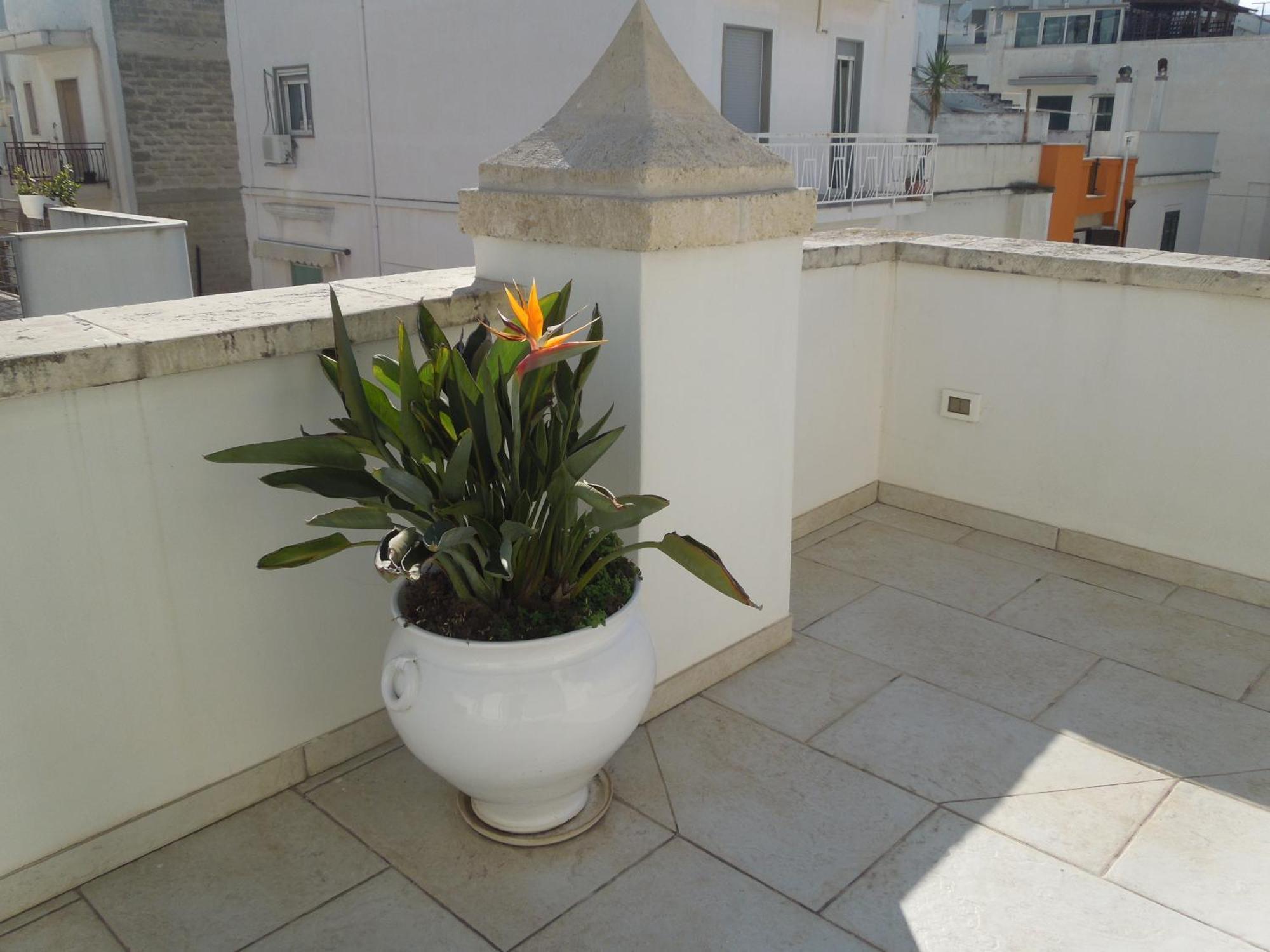 Bed and Breakfast Dimora Girolamo Polignano a Mare Exterior foto